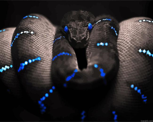 Snake With Blue Eyes Painting By Numberss.png