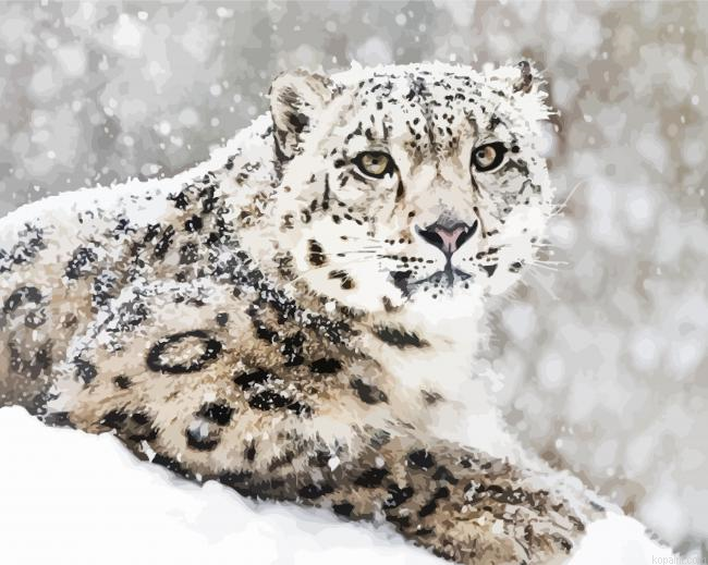 Snow Animal Painting By Numberss.png