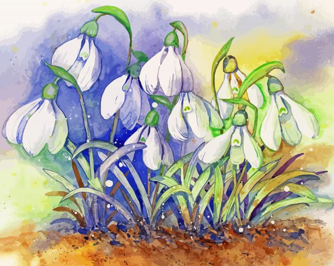 Snow Drops Art Painting By Numberss.png