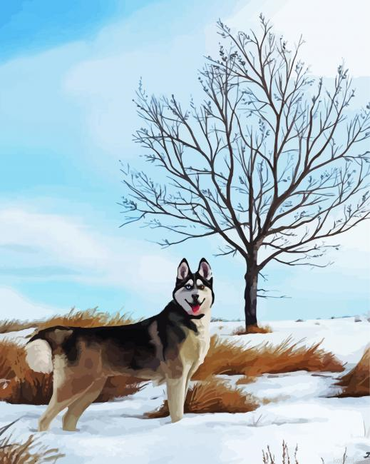 Snow Husky Painting By Numberss.png