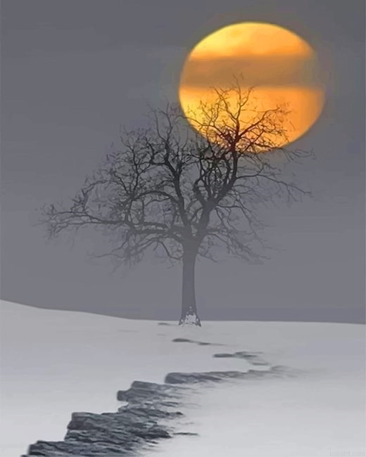 Snow Moon Painting By Numberss.png