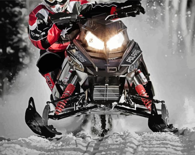 Snowmobile Driver Painting By Numberss.png