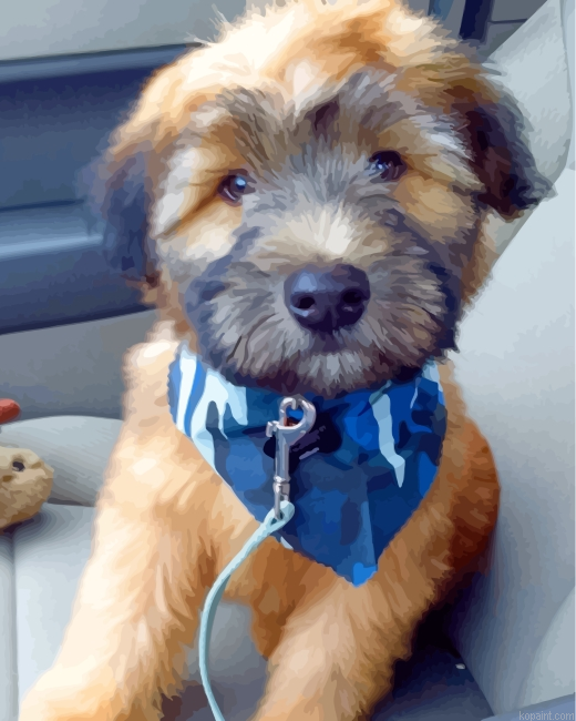 Soft Coated Wheaten Terrier Painting By Numberss.png