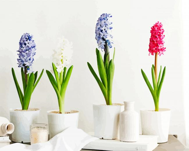 Soft Hyacinth Flowers Paint By Numbers