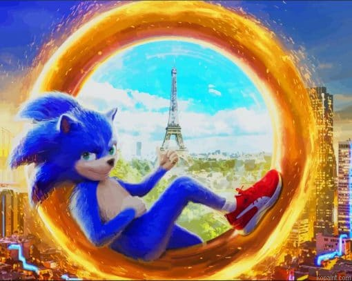 Sonic The Hedgehog Art Paint By Numbers
