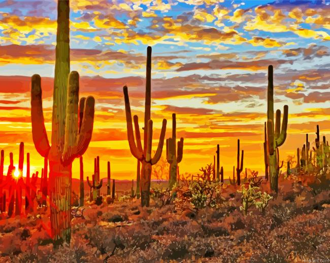 Sonoran Desert Painting By Numberss.png