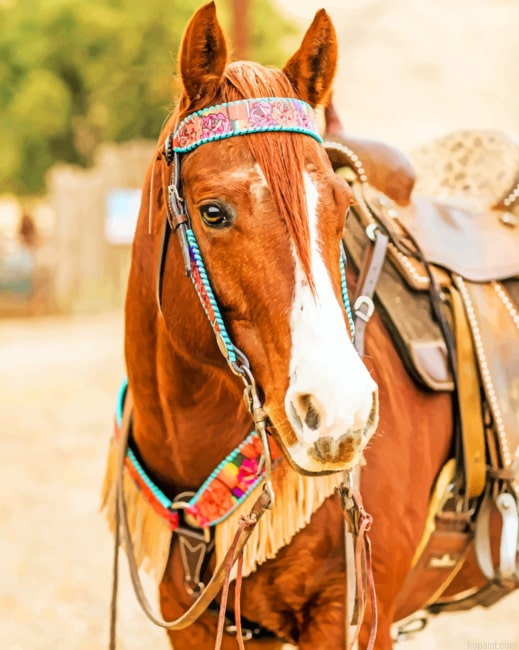 Sorrel Horse Paint By Numbers