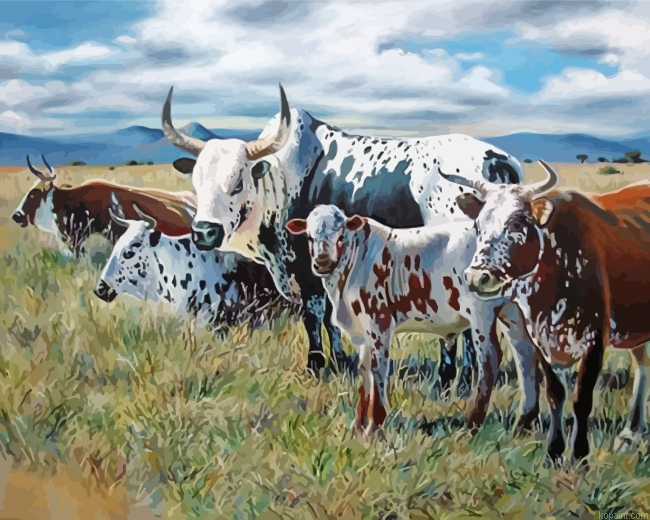 South Africa Nguni Painting By Numberss.png
