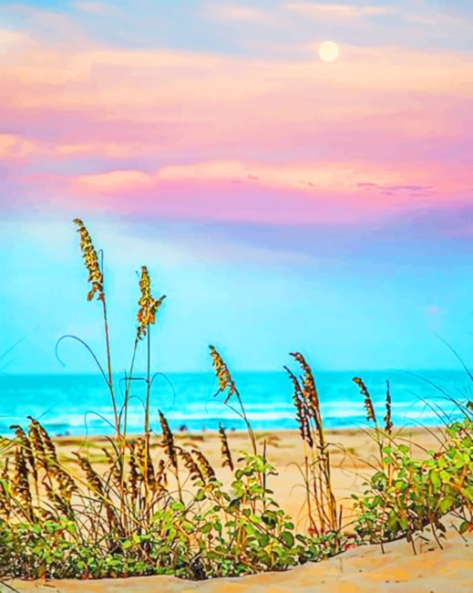 South Padre Island Sunset New Painting By Numberss.png