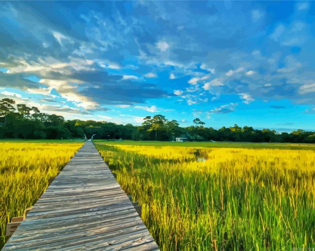 Southcarolina Lowcountry Walkroad Painting By Numberss.png