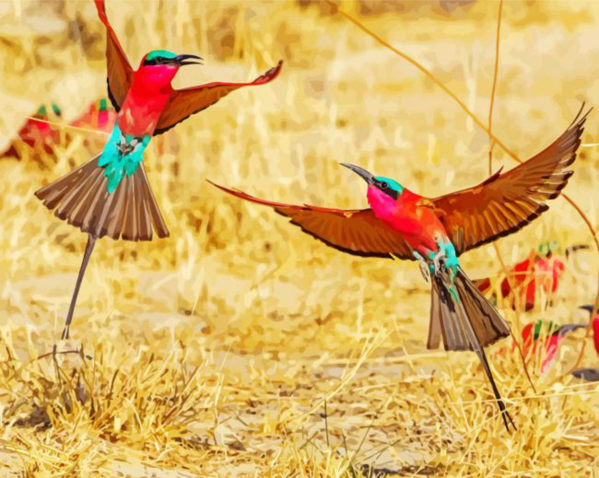 Southern Carmine Bee Eater Flying Birds Painting By Numberss.png