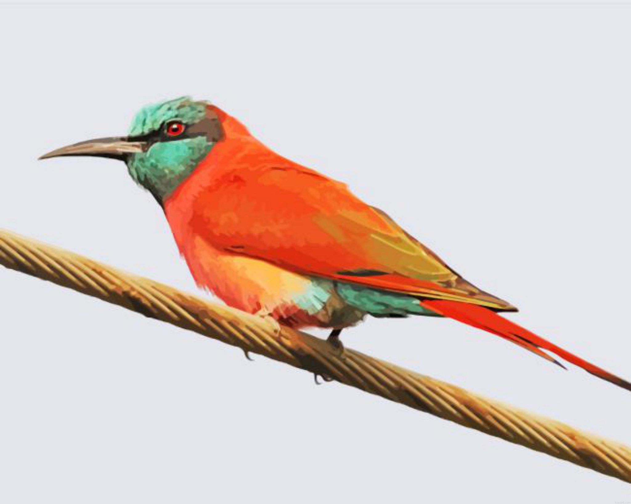 Southern Carmine Bee Eater On a Wire Paint By Numbers