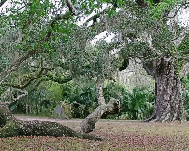 Southern Live Oak Trees Painting By Numberss.png