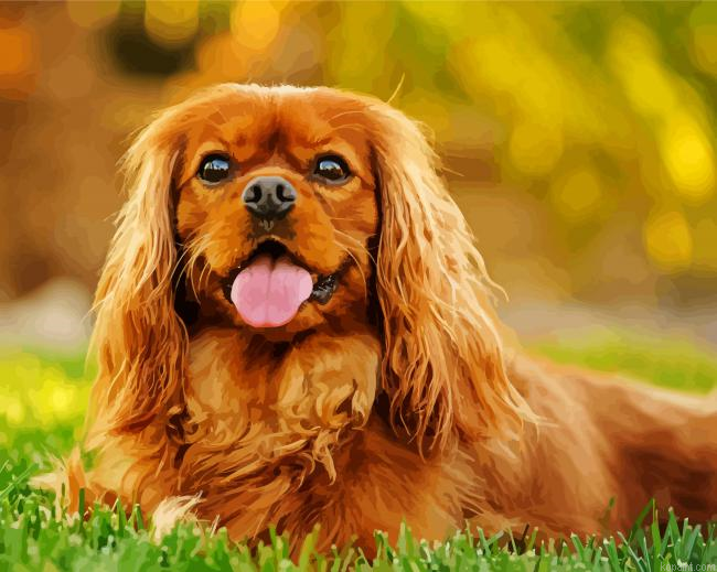 Spaniel Doggy Painting By Numberss.png