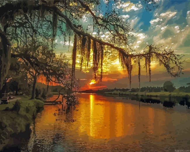 Spanish Moss At Sunset Painting By Numberss.png