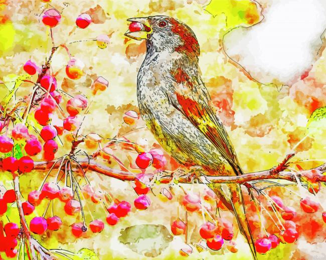 Sparrow On Cherry Branch Painting By Numberss.png