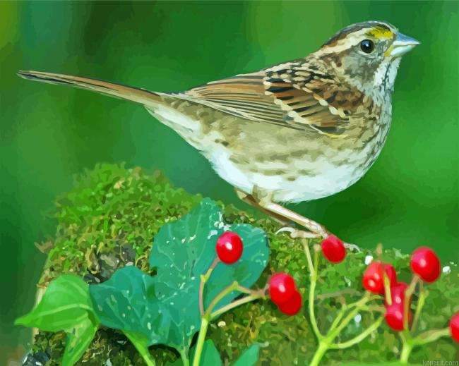 Sparrow Paint By Numbers.png