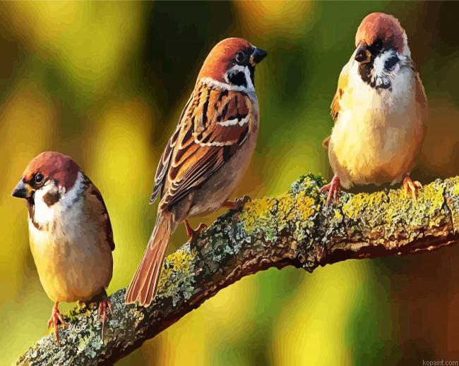Sparrows Birds Paint By Numbers.png