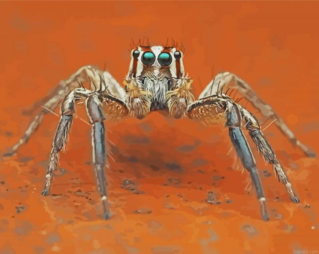 Spider Painting By Numberss.png