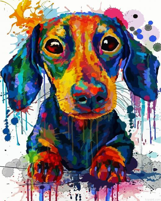 Splatter Dachshund Dog Paint By Numbers.png