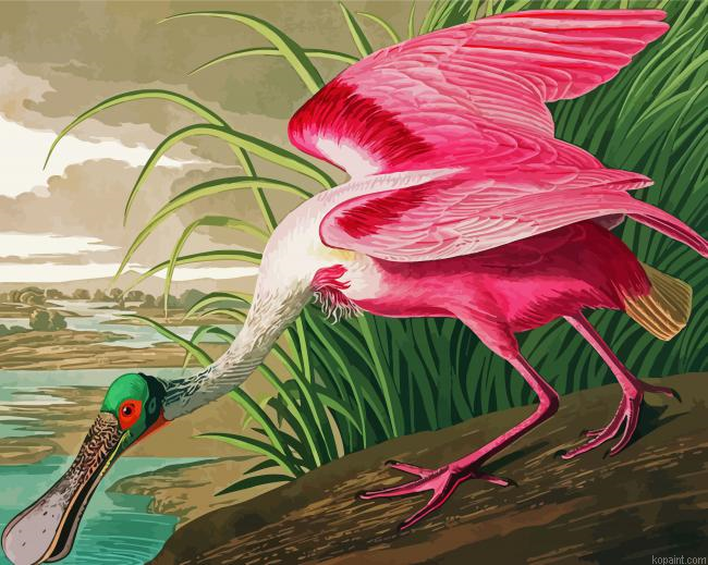 Spoonbill Art Painting By Numberss.png