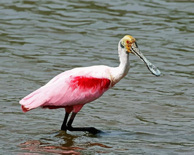 Spoonbills Bird Paint By Numbers