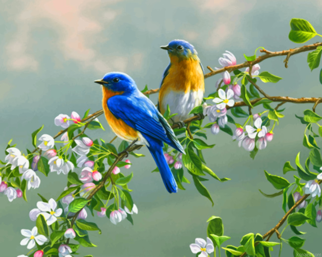 Spring Bluebirds Painting By Numberss.png