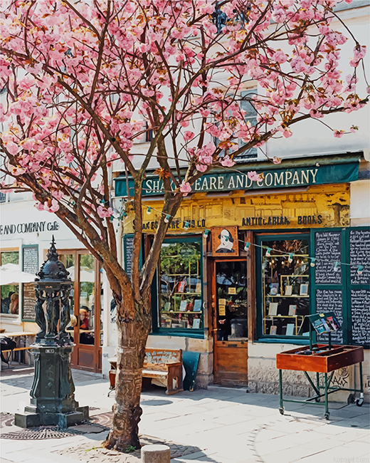 Spring Day In Paris Painting By Numberss.png
