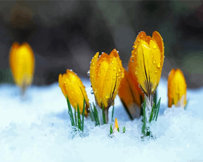 Spring Flower In Snow Painting By Numberss.png