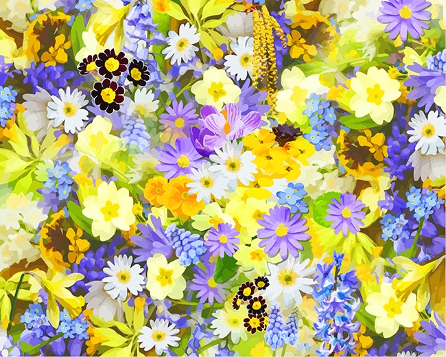 Spring Flowers New Painting By Numberss.png