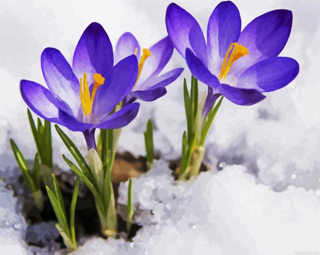 Spring Purple Flower In Snow Painting By Numberss.png
