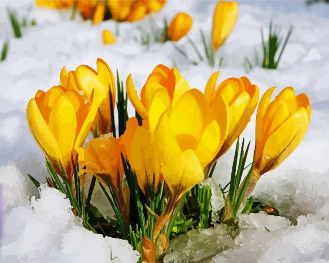 Spring Yellow Flower In Snow Painting By Numberss.png
