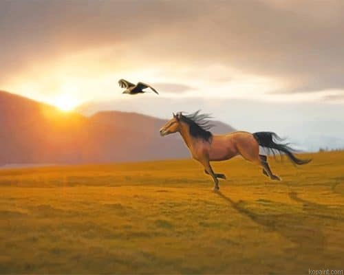 Stallion Spirit Of The Cimarron Paint By Numbers