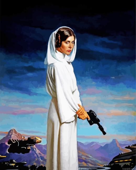 Star Wars Leia Paint By Numbers