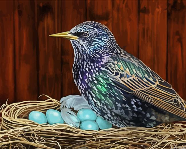 Starling Bird Nest Painting By Numberss.png