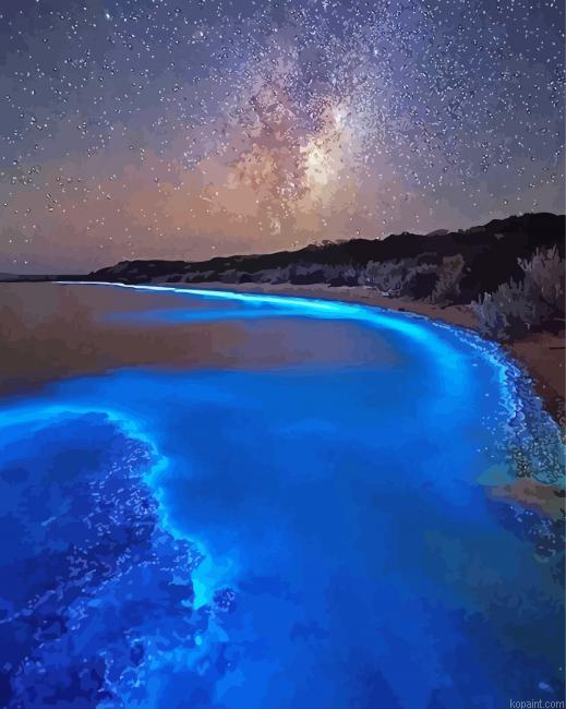 Starry Night Glowing Algae Paint By Numbers