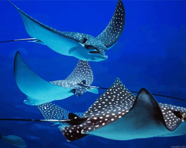 Stingray Fishes Animals Painting By Numberss.png