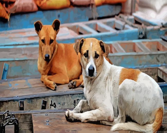 Street Dog Animal Paint By Numbers