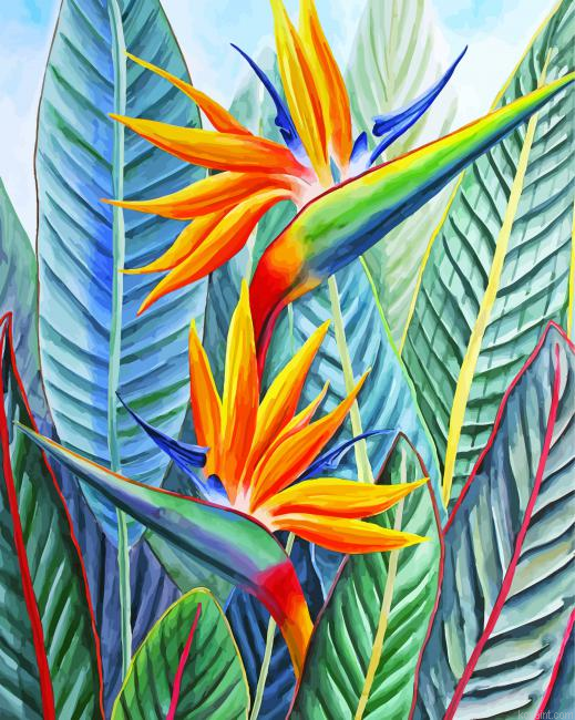 Strelitzia Bird Of Paradise Painting By Numberss.png