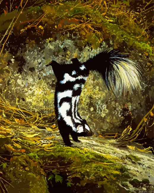 Striped Skunk Animal Painting By Numberss.png