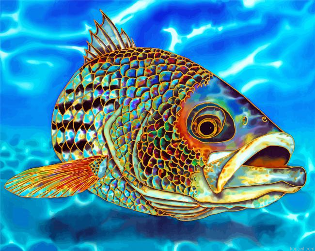 Striper Fish Paint By Numbers