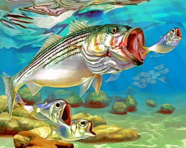 Striper Fish Underwater Paint By Numbers
