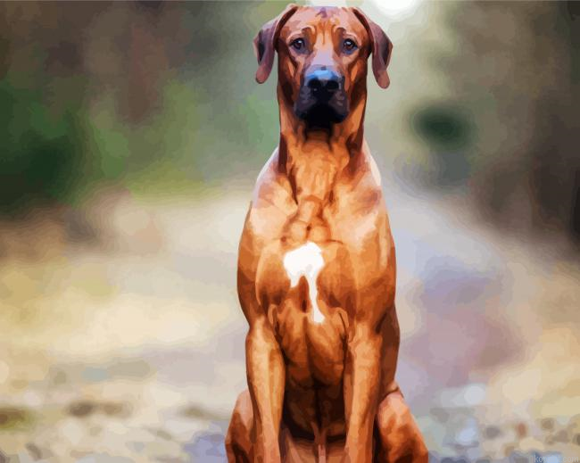 Strong Rhodesian Ridgeback Paint By Numbers.png