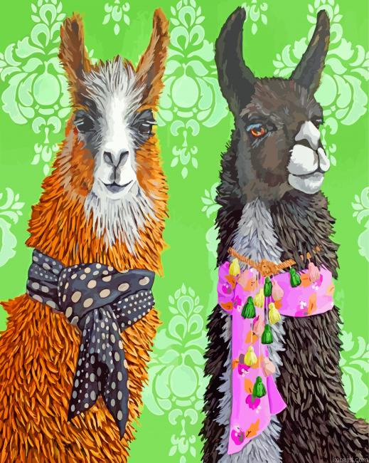 Stylish Alpacas Painting By Numberss.png