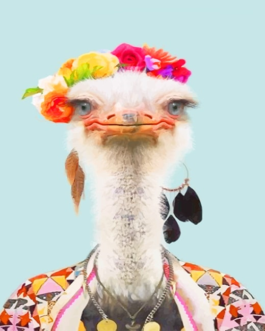 Stylish Common Ostrich New Painting By Numberss.png