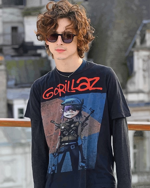 Stylish Timothee Chalamet New Painting By Numberss.png