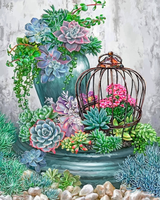 Succulent Plants Garden Painting By Numberss.png