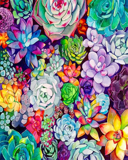 Succulents Plants Painting By Numberss.png