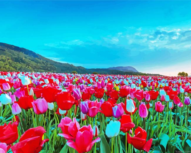 Summer Field Of Flowers Painting By Numberss.png