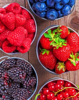 Summer Fruits Painting By Numberss.png
